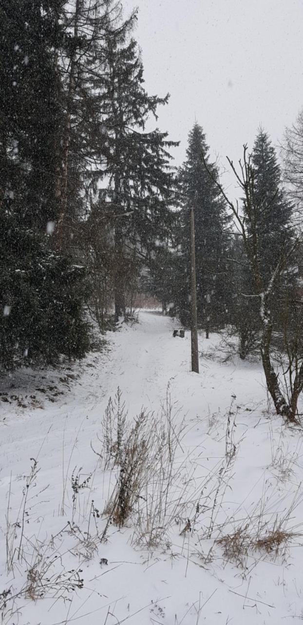 Chata Na Kovarne Rymarov Exterior photo